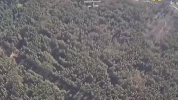 Russian FPV interceptor drones ram and destroy Ukrainian reconnaissance and attack UAVs in the Krasny Liman direction - Sputnik India