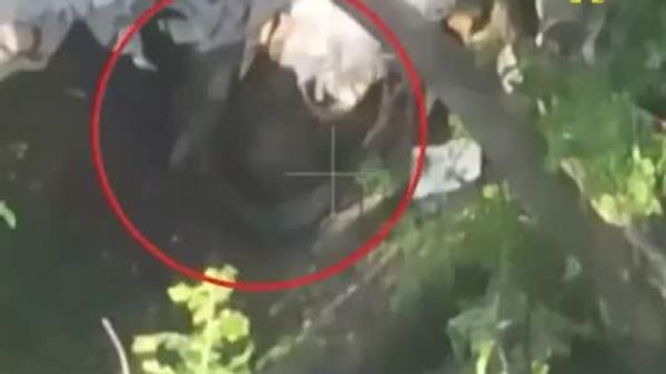 Russian UAV teams destroy a network of Ukrainian dugouts in the Dobropolye direction - Sputnik India