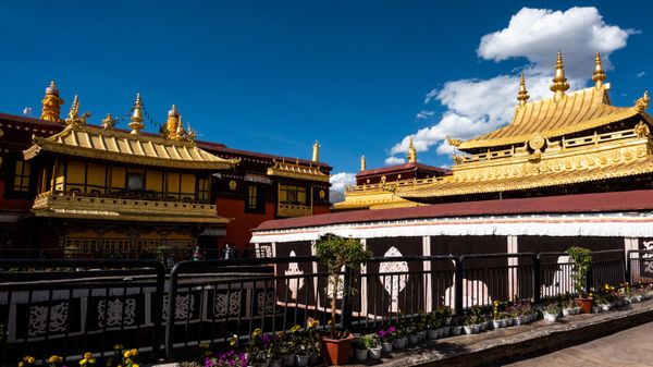 Temple in Tibet - Sputnik India